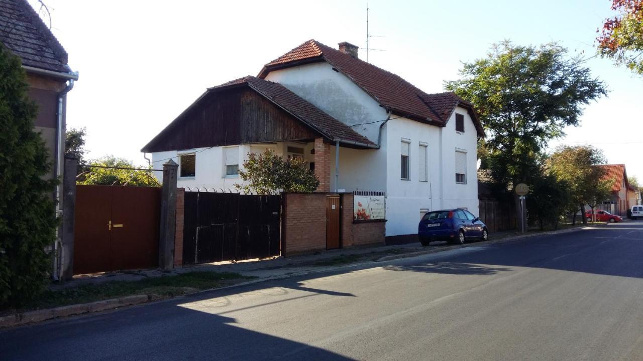 Natalia Apartman Daire Makó Dış mekan fotoğraf